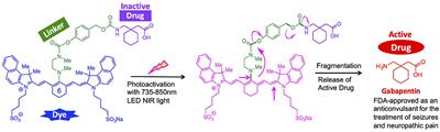 Cyanine Nanocages Activated by Near-Infrared Light for the Targeted Treatment of Traumatic Brain Injury